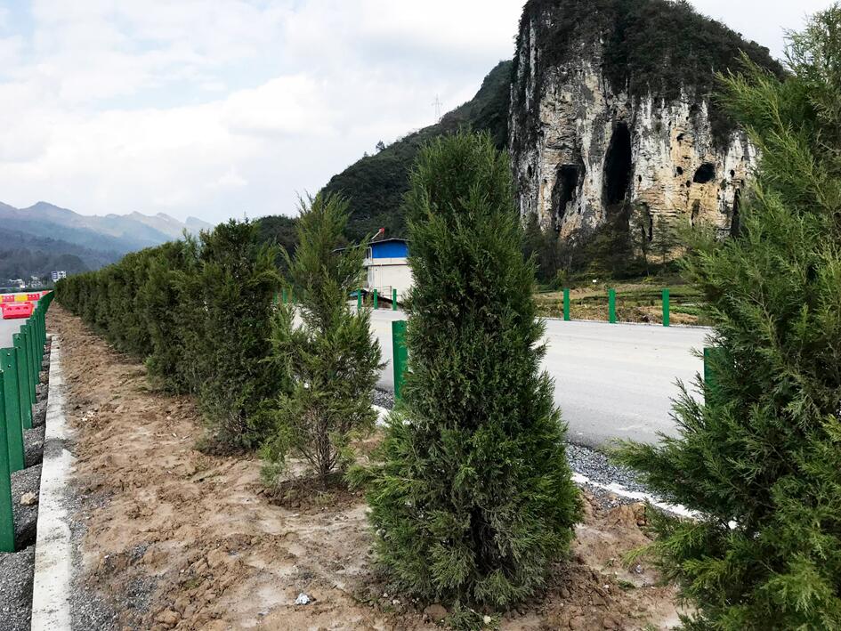 宣鶴高速綠化養護