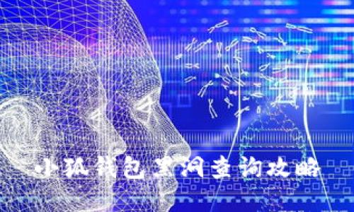 小狐錢包黑洞查詢攻略