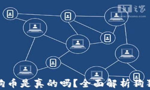 
小狐錢包存狗狗幣是真的嗎？全面解析狗狗幣存儲安全性