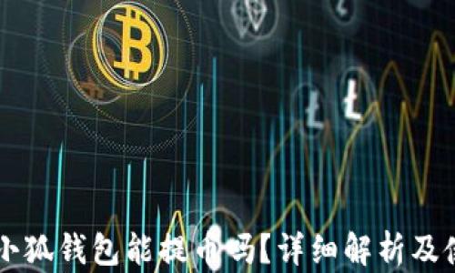 
中本聰小狐錢包能提幣嗎？詳細(xì)解析及使用指南