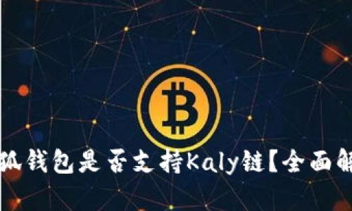 小狐錢包是否支持Kaly鏈？全面解析