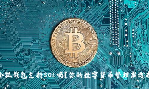 小狐錢包支持SOL嗎？你的數(shù)字貨幣管理新選擇