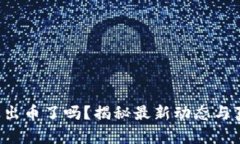 小狐錢包出幣了嗎？揭秘