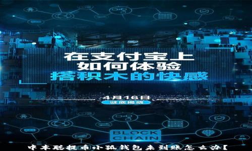 
中本聰提幣小狐錢(qián)包未到賬怎么辦？