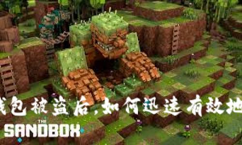 小狐錢包被盜后，如何迅速有效地處理？