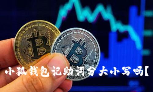小狐錢包記助詞分大小寫嗎？