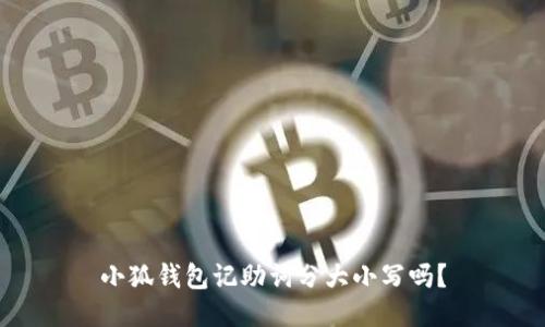 小狐錢包記助詞分大小寫嗎？