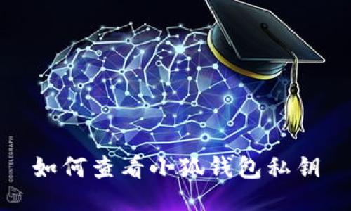 如何查看小狐錢(qián)包私鑰