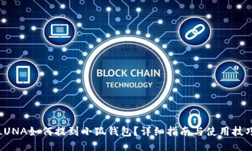 LUNA如何提到小狐錢包？詳細指南與使用技巧