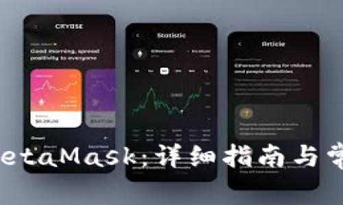  如何登錄MetaMask：詳細(xì)指南與常見問題解答